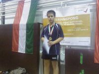 Interpingpong - januar 2013.